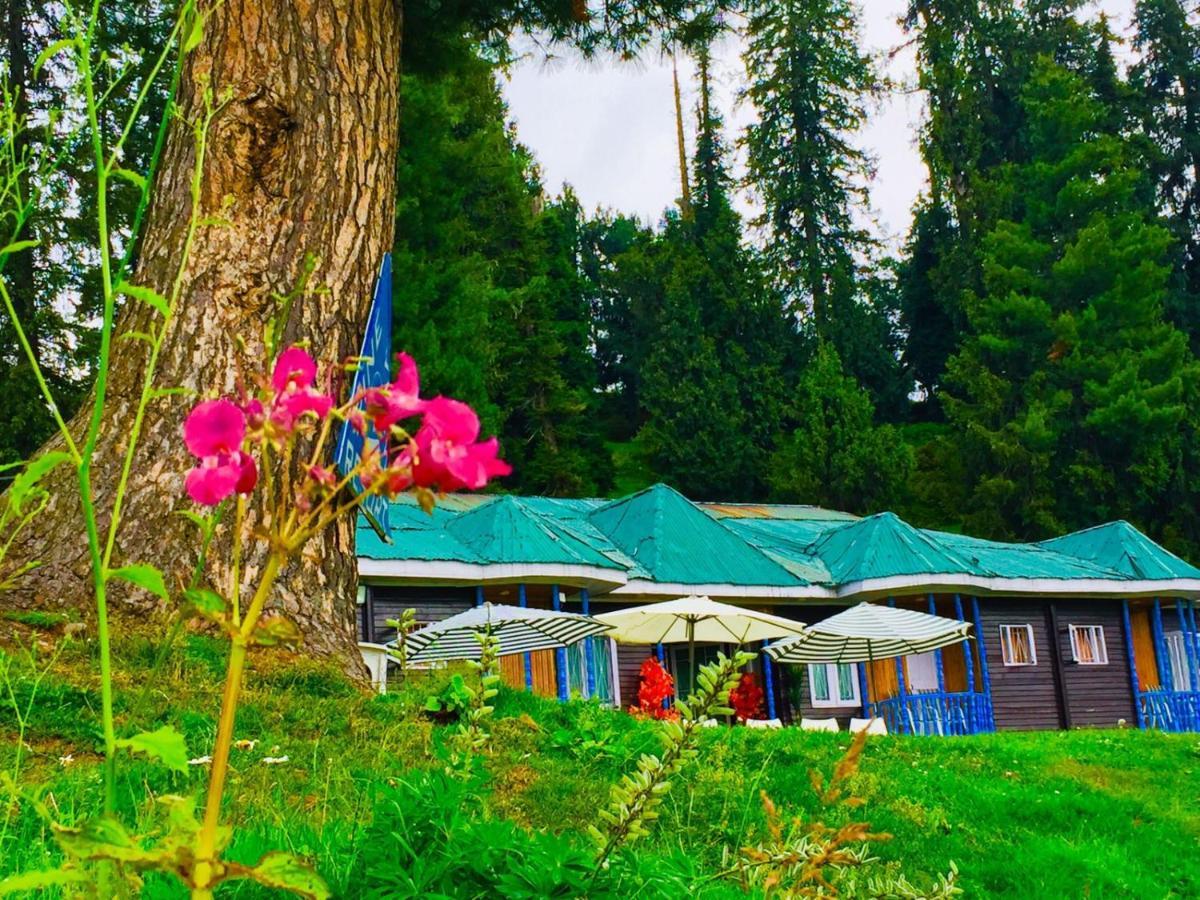 Pine View Resort Gulmarg Exteriér fotografie
